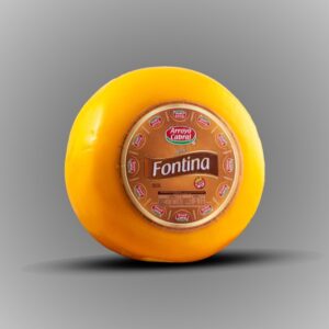 Fontina Arroyo Cabral